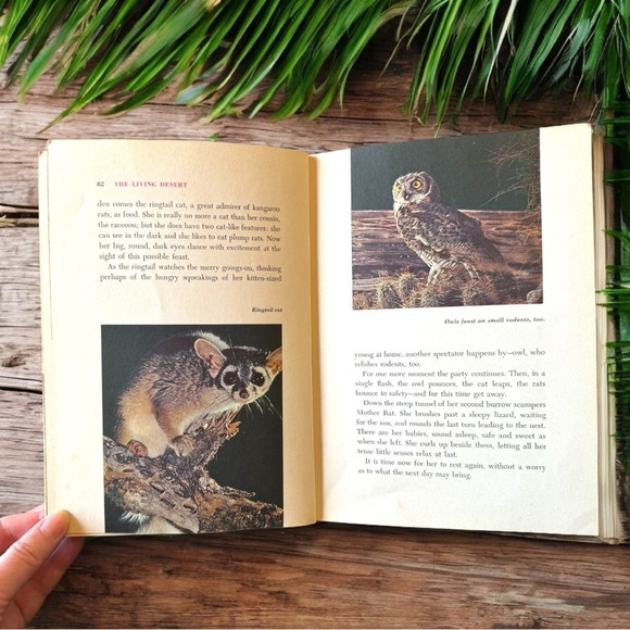 VINTAGE 1954 Walt Disney’s Living Desert - A True-Life Adventure Hardcover - Picture 16 of 16